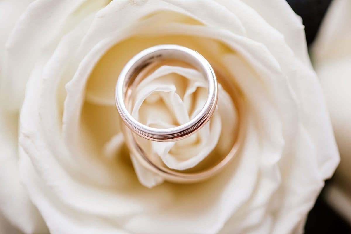 Wedding rings resting on a white rose